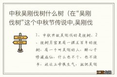 在“吴刚伐树”这个中秋节传说中,吴刚伐的是什么树? 中秋吴刚伐树什么树