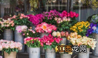 中秋节送什么花给老师最好 中秋节送什么花给老师最好呢