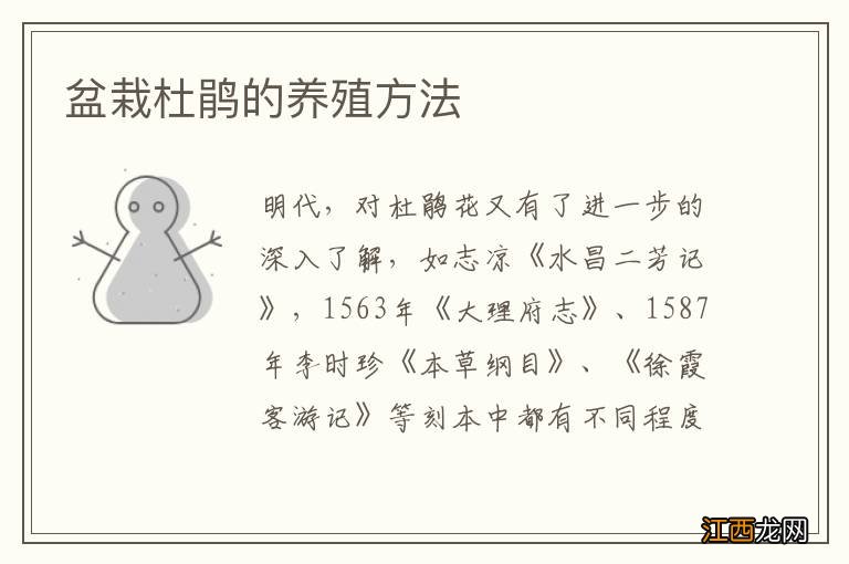 盆栽杜鹃的养殖方法