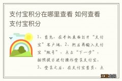 支付宝积分在哪里查看 如何查看支付宝积分