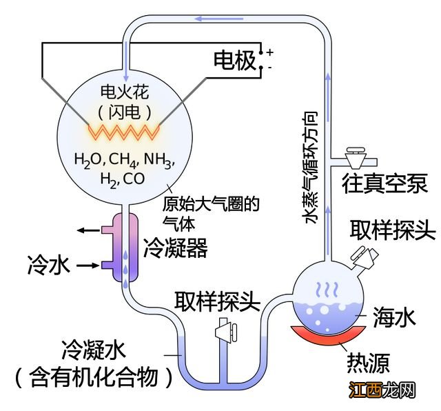 “首次在地球外确认生命之源”？你可能白兴奋了