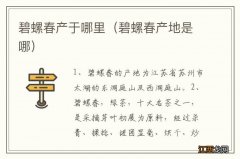 碧螺春产地是哪 碧螺春产于哪里