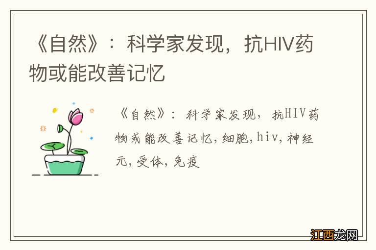 《自然》：科学家发现，抗HIV药物或能改善记忆