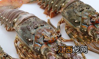 小青龙虾的做法 怎样做小青龙虾