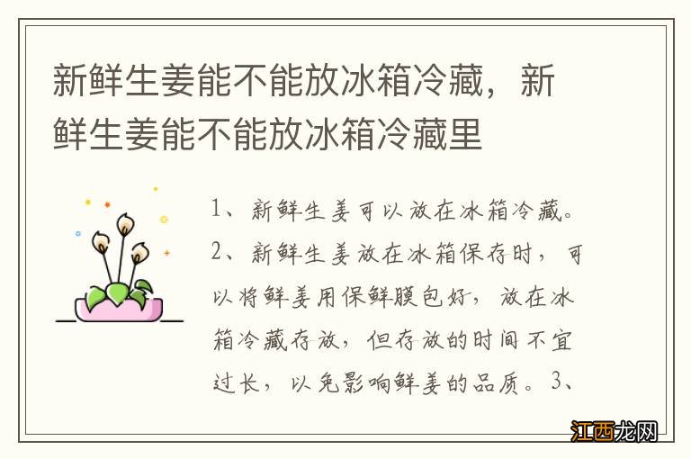 新鲜生姜能不能放冰箱冷藏，新鲜生姜能不能放冰箱冷藏里