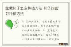 盆栽柿子怎么种植方法 柿子的盆栽种植方法