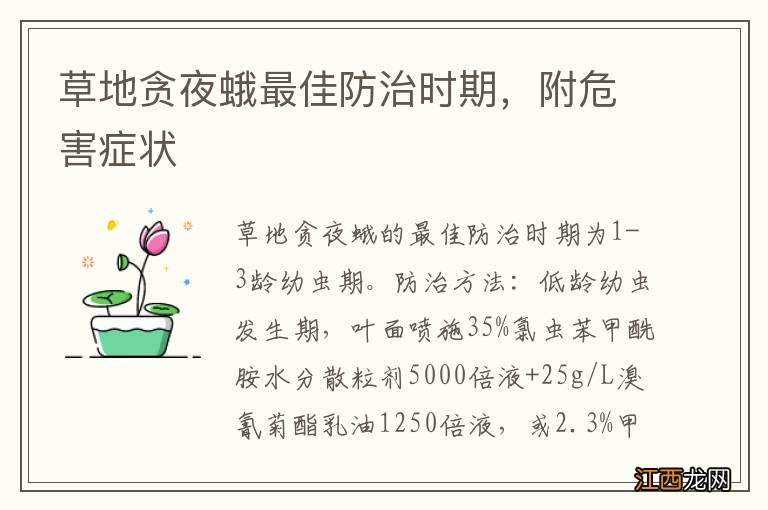 草地贪夜蛾最佳防治时期,附危害症状