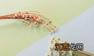 如何自我介绍范文中学生 如何自我介绍范文