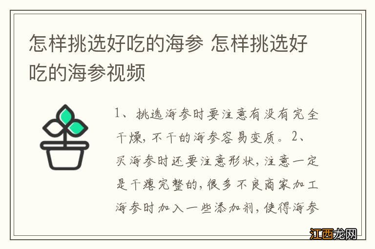 怎样挑选好吃的海参 怎样挑选好吃的海参视频