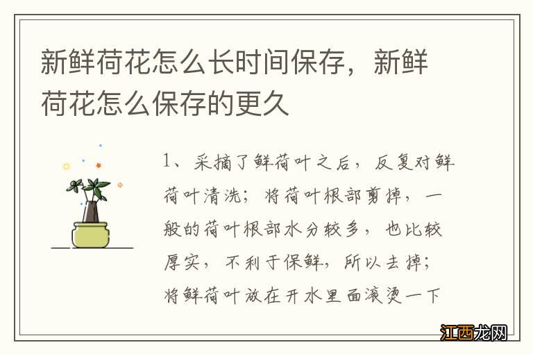 新鲜荷花怎么长时间保存,新鲜荷花怎么保存的更久