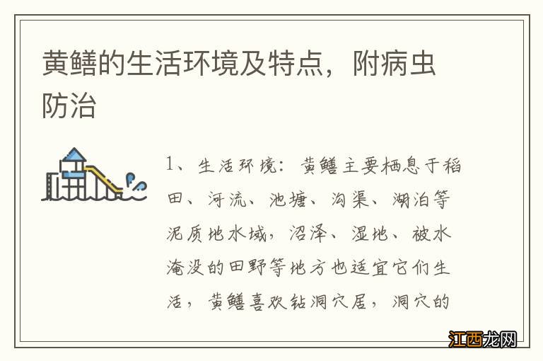 黄鳝的生活环境及特点,附病虫防治