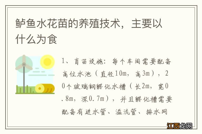 鲈鱼水花苗的养殖技术，主要以什么为食