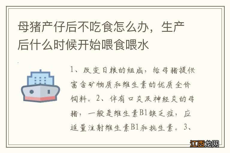 母猪产仔后不吃食怎么办，生产后什么时候开始喂食喂水