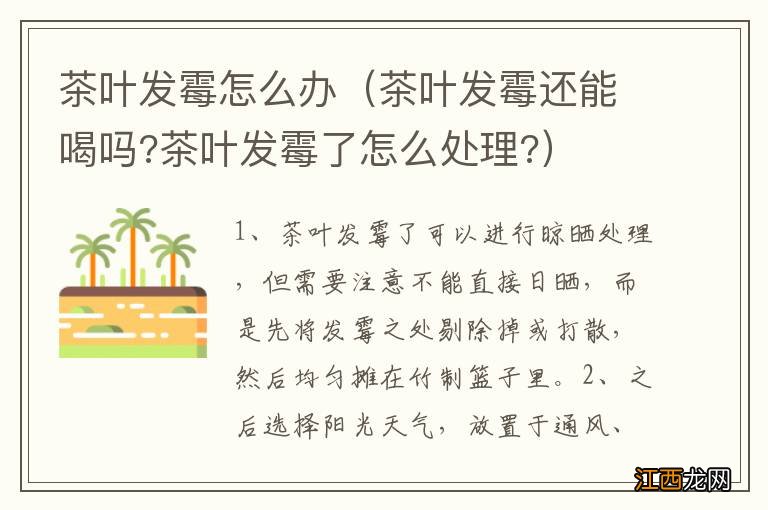 茶叶发霉还能喝吗?茶叶发霉了怎么处理? 茶叶发霉怎么办