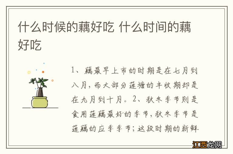 什么时候的藕好吃 什么时间的藕好吃