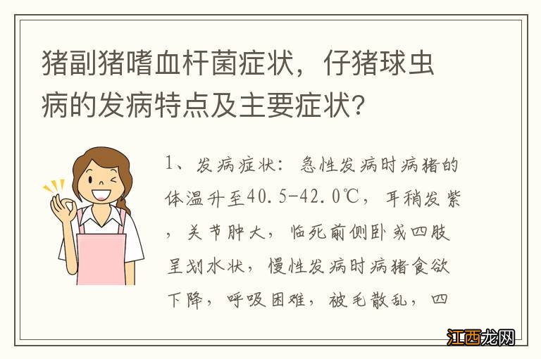 猪副猪嗜血杆菌症状，仔猪球虫病的发病特点及主要症状?