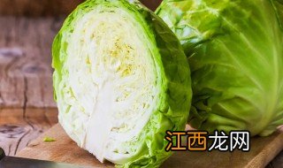 甘蓝菜能不能储存冰箱 甘蓝菜能不能储存冰箱里