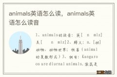 animals英语怎么读，animals英语怎么读音