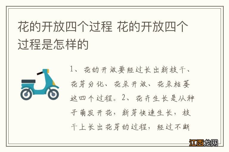 花的开放四个过程 花的开放四个过程是怎样的