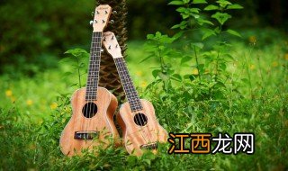 什么是尤克里里图片 什么是尤克里里