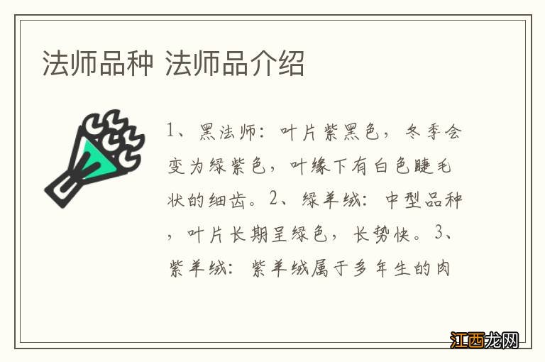 法师品种 法师品介绍