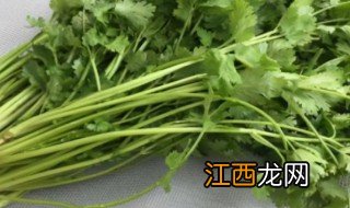 冬季怎么保存香菜晒干 冬季怎样保存香菜新鲜