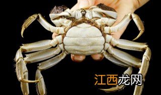 螃蟹做好吃不完怎么保存 螃蟹怎么保存不变质
