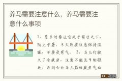 养马需要注意什么，养马需要注意什么事项