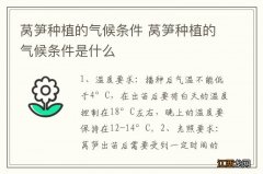 莴笋种植的气候条件 莴笋种植的气候条件是什么