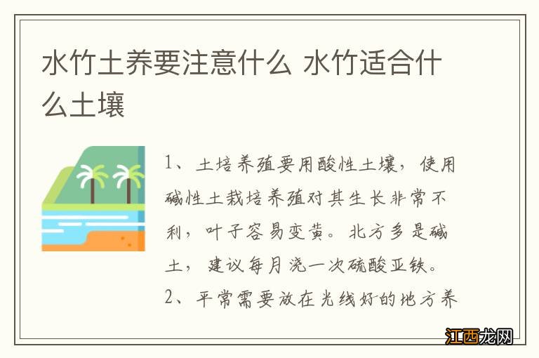 水竹土养要注意什么 水竹适合什么土壤