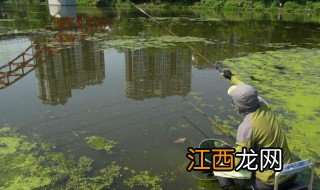 大型水库钓鱼技巧夏季 大型水库钓鱼技巧