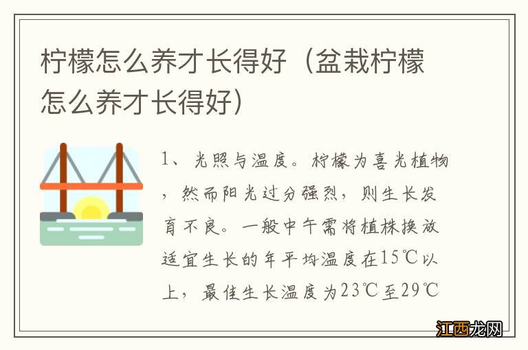 盆栽柠檬怎么养才长得好 柠檬怎么养才长得好