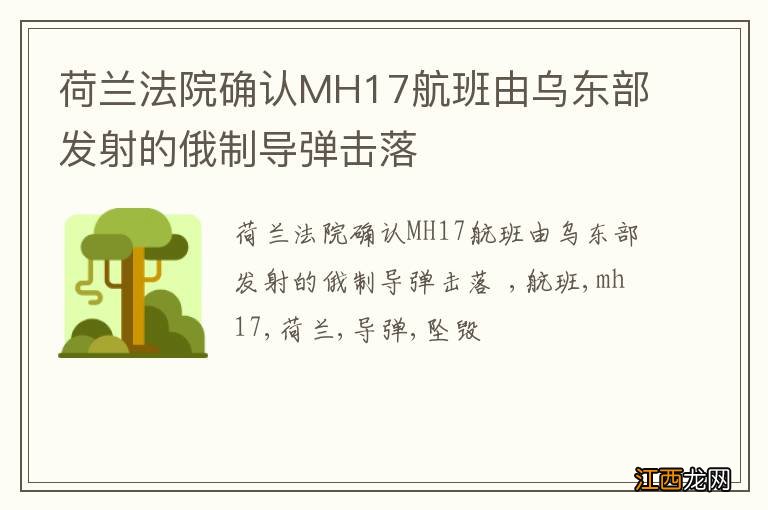 荷兰法院确认MH17航班由乌东部发射的俄制导弹击落