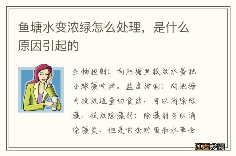 鱼塘水变浓绿怎么处理，是什么原因引起的