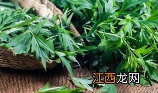 新鲜艾草怎么长时间保存 新鲜艾草怎么长时间保存呢