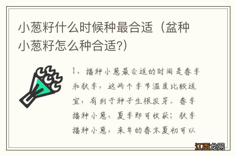 盆种小葱籽怎么种合适? 小葱籽什么时候种最合适