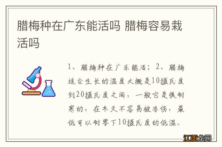 腊梅种在广东能活吗 腊梅容易栽活吗