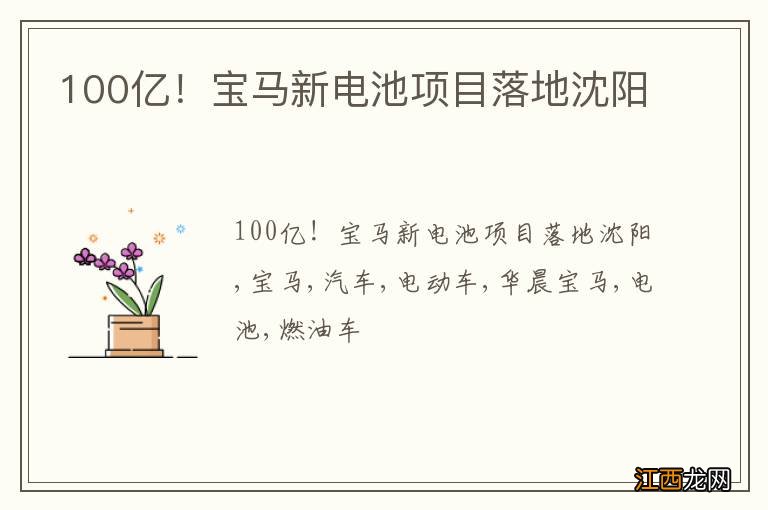 100亿！宝马新电池项目落地沈阳