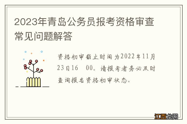 2023年青岛公务员报考资格审查常见问题解答