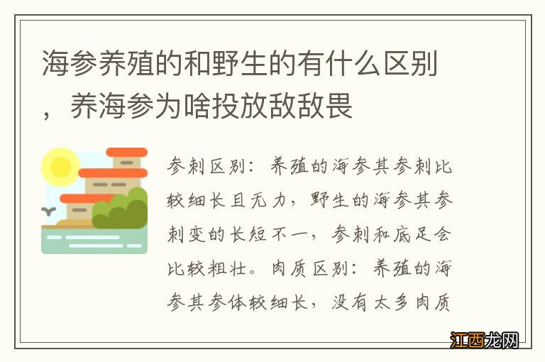 海参养殖的和野生的有什么区别，养海参为啥投放敌敌畏