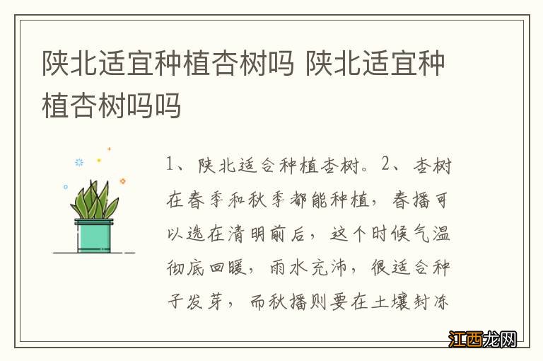 陕北适宜种植杏树吗 陕北适宜种植杏树吗吗