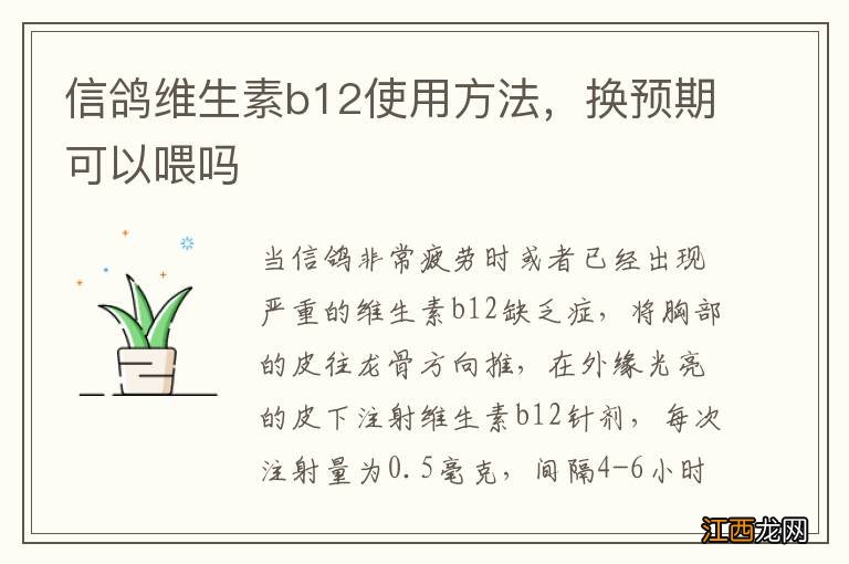 信鸽维生素b12使用方法，换预期可以喂吗