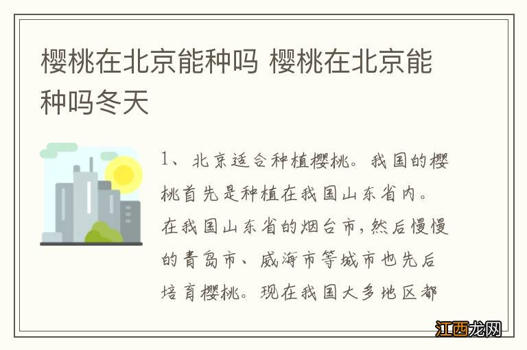 樱桃在北京能种吗 樱桃在北京能种吗冬天