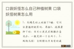 口袋妖怪怎么自己种植树果 口袋妖怪树果怎么用