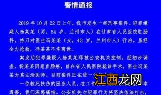 甘肃女医生遇刺身亡事件 甘肃女医生遇刺身亡