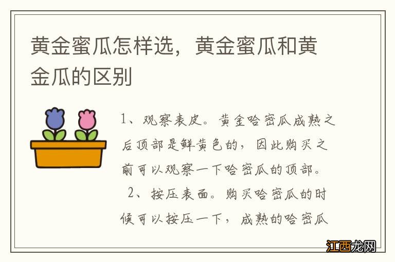 黄金蜜瓜怎样选，黄金蜜瓜和黄金瓜的区别