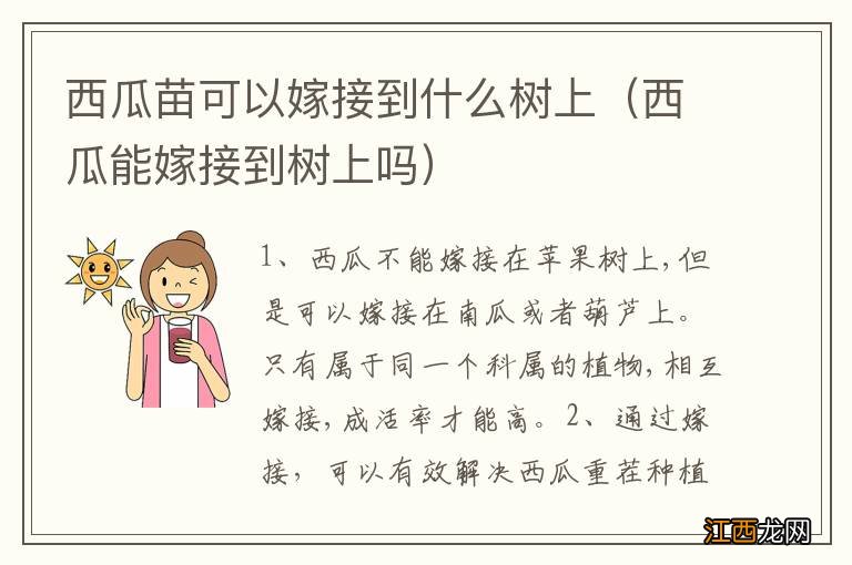 西瓜能嫁接到树上吗 西瓜苗可以嫁接到什么树上