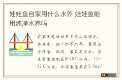 娃娃鱼自家用什么水养 娃娃鱼能用纯净水养吗