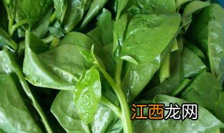 蚕菜什么时间采摘最好 蚕菜几月份种植