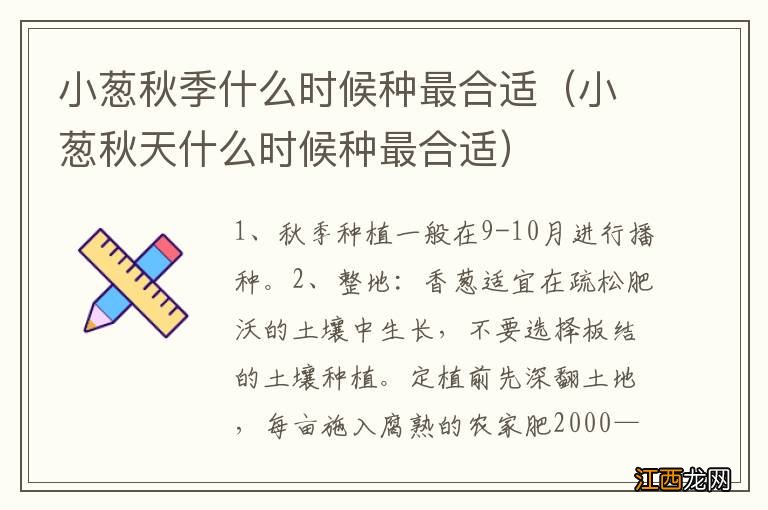 小葱秋天什么时候种最合适 小葱秋季什么时候种最合适